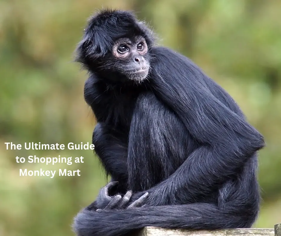 The Ultimate Guide to Shopping at Monkey Mart